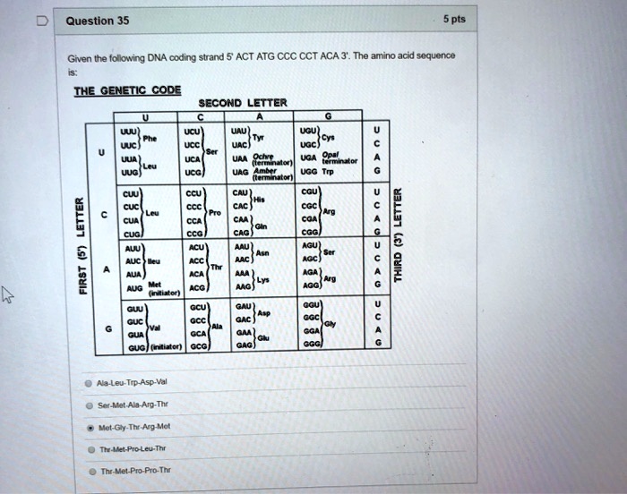 Given the following DNA coding strand 5' ACT ATG CCC CCT ACA 3'. The amino acid sequence is:

THE GENETIC CODE
SECOND LETTER
U C A G
U UUU Phe UCU Ser UAU Tyr UGU Cys U
UUC UAU UAC UGC C
UUA Leu UCA UAA Ochre (terminator) UGA Opal terminator A
UUG UCG UAG Amber (terminator) UGG Trp G
C CUU Leu CCU Pro CAU His CGU Arg U
CUC CCC CAC CGC C
CUA CCA CAA Gln CGA A
CUG CCG CAG CGG G
A AUU Ileu ACU Thr AAU Asn AGU Ser U
AUC ACC AAC AGC C
AUA ACA AAA Lys AGA Arg A
AUG Met (initiator) ACG AAG AGG G
G GUU Val GCU Ala GAU Asp GGU Gly U
GUC GCC GAC GGC C
GUA GCA GAA Glu GGA A
GUG (initiator) GCG GAG GGG G

Ala-Leu-Trp-Asp-Val
Ser-Met-Ala-Arg-Thr
Met-Gly-Thr-Arg-Met
Thr-Met-Pro-Leu-Thr
Thr-Met-Pro-Pro-Thr
