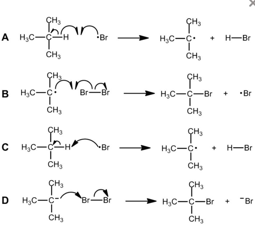 Which schemes correctly depict mechanistic steps of radical bromination ...