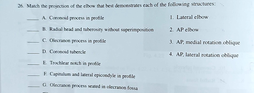 26. Match the projection of the elbow that best demonstrates each of the following structures:
A. Coronoid process in profile
B. Radial head and tuberosity without superimposition
C. Olecranon process in profile
D. Coronoid tubercle
E. Trochlear notch in profile
F. Capitulum and lateral epicondyle in profile
G. Olecranon process seated in olecranon fossa
1. Lateral elbow
2. AP elbow
3. AP, medial rotation oblique
4. AP, lateral rotation oblique