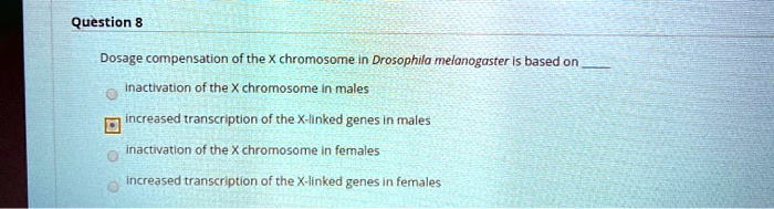 Dosage compensation of the X chromosome in Drosophila melanogaster is based on 
inactivation of the X chromosome in males
increased transcription of the X-linked genes in males
inactivation of the X chromosome in females
increased transcription of the X-linked genes in females