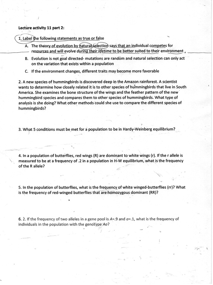 Lecture activity 11 part 2:
1. Label the following statements as true or false
A. The theory of evolution by natural selection says that an individual competes for
resources and will evolve during their lifetime to be better suited to their environment,
B. Evolution is not goal directed- mutations are random and natural selection can only act
on the variation that exists within a population
C. If the environment changes, different traits may become more favorable
2. A new species of hummingbirds is discovered deep in the Amazon rainforest. A scientist
wants to determine how closely related it is to other species of hummingbirds that live in South
America. She examines the bone structure of the wings and the feather pattern of the new
hummingbird species and compares them to other species of hummingbirds. What type of
analysis is she doing? What other methods could she use to compare the different species of
hummingbirds?
3. What 5 conditions must be met for a population to be in Hardy-Weinberg equilibrium?
4. In a population of butterflies, red wings (R) are dominant to white wings (r). If the r allele is
measured to be at a frequency of .2 in a population in H-W equilibrium, what is the frequency
of the R allele?
5. In the population of butterflies, what is the frequency of white winged-butterflies (rr)? What
is the frequency of red-winged butterflies that are homozygous dominant (RR)?
6. 2. If the frequency of two alleles in a gene pool is A=.9 and a=.1, what is the frequency of
individuals in the population with the genotype Aa?