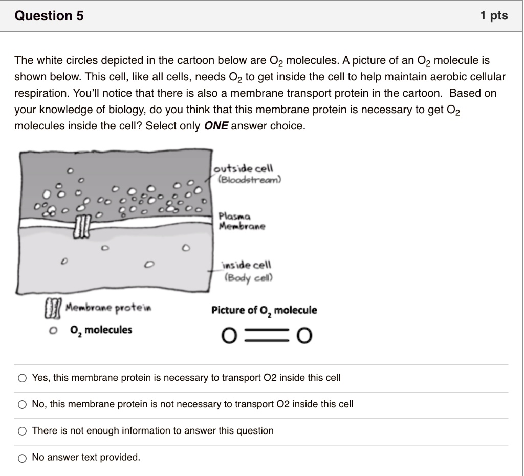 SOLVED Question 5 pts The white circles depicted in the cartoon below
