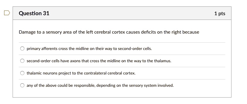 Damage to a sensory area of the left cerebral cortex causes deficits on the right because
primary afferents cross the midline on their way to second-order cells.
second-order cells have axons that cross the midline on the way to the thalamus.
thalamic neurons project to the contralateral cerebral cortex.
any of the above could be responsible, depending on the sensory system involved.
