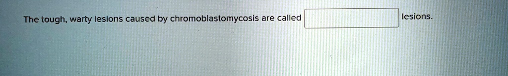 The tough, warty lesions caused by chromoblastomycosis are called  lesions.