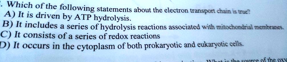 SOLVED: Which of the following statements about the electron transport ...