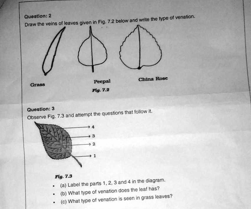 solved-pls-pls-pls-pls-answer-question-2-write-the-type-ol