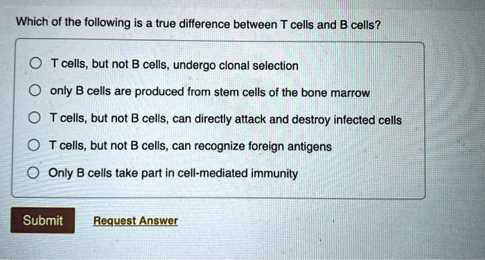 Which of the following is a true difference between T cells and B cells?

T cells, but not B cells, undergo clonal selection

only B cells are produced from stem cells of the bone marrow

T cells, but not B cells, can directly attack and destroy infected cells

T cells, but not B cells, can recognize foreign antigens

Only B cells take part in cell-mediated immunity

Submit
Request Answer
