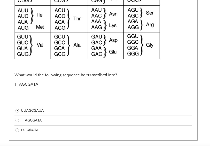 Solved Асс UUG AGA UUA AGG AGU GCA CGA CCA UCA ACA GUA GCC