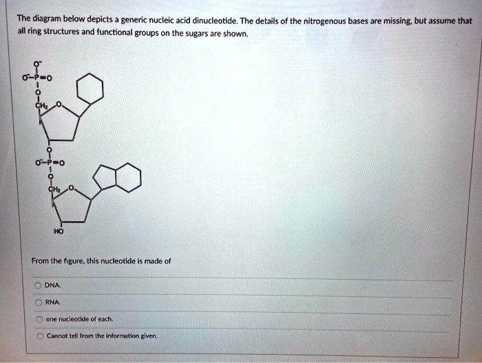 SOLVED The diagram below depicts generic nucleic acid dinucleotide