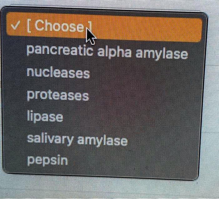 SOLVED: KHMLKHEHEUU Pancreatic Alpha Amylase Nuclease Poomrasbb Lipase ...