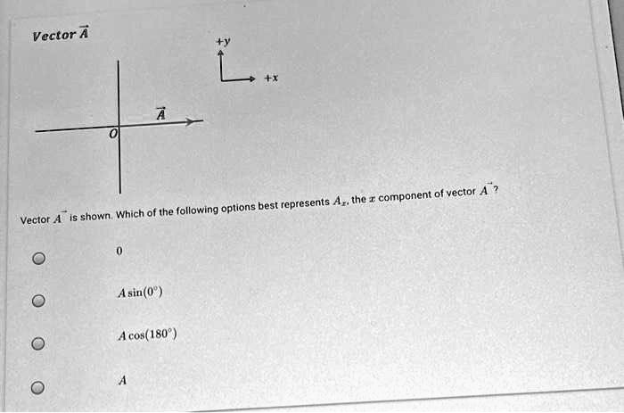SOLVED: Vector A The following options best represent the component of ...