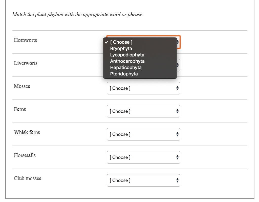 Match the plant phylum with the appropriate word or phrase.

Hornworts [ Choose ]
Bryophyta
Lycopodiophyta
Anthocerophyta
Hepaticophyta
Pteridophyta

Liverworts [ Choose ]
Mosses [ Choose ]
Ferns [ Choose ]
Whisk ferns [ Choose ]
Horsetails [ Choose ]
Club mosses [ Choose ]
