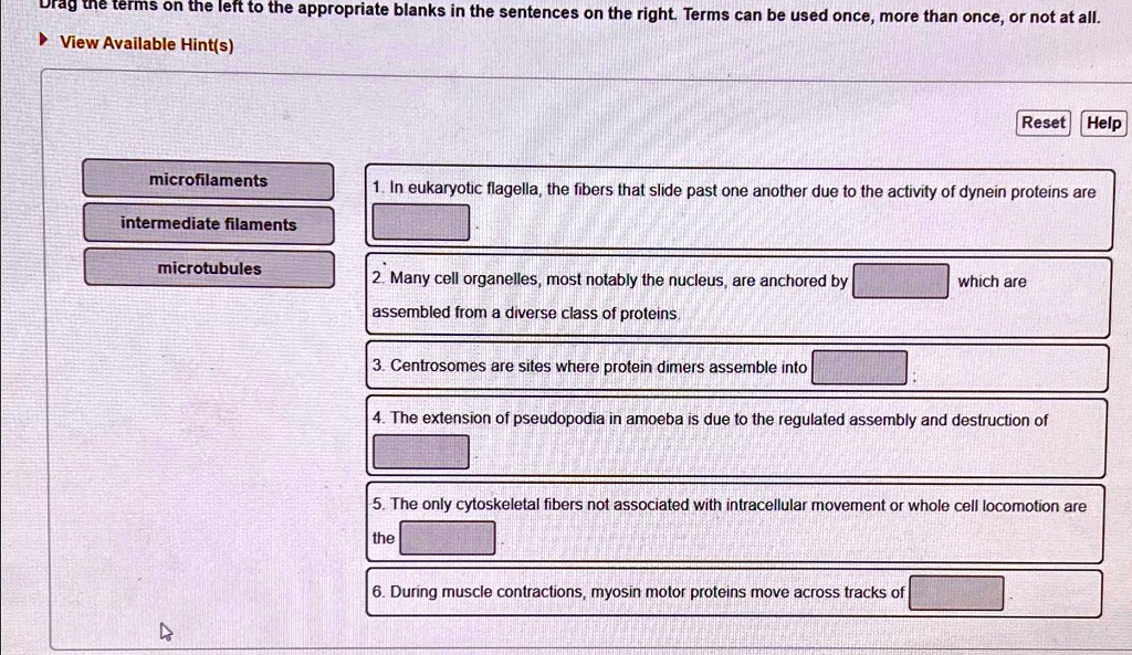 SOLVED: the terms on the left to the appropriate blanks in the ...