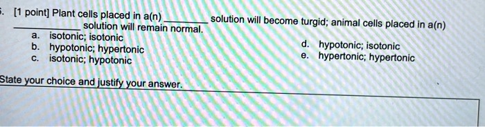 SOLVED: [1 point] Plant cells placed in a(n) solution will solution will  become turgid; animal cells placed in a(n) remain normal: isotonic;  isotonic nypotonic; hypertonic hypotonic isotonic isotonic; hypotonic  hypertonic; hypertonic State