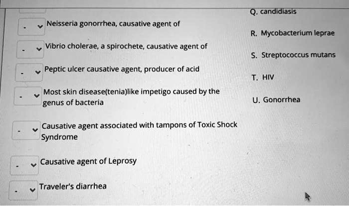 Neisseria gonorrhea, causative agent of
Q. candidiasis
Vibrio cholerae, a spirochete, causative agent of
R. Mycobacterium leprae
Peptic ulcer causative agent, producer of acid
S. Streptococcus mutans
Most skin disease(tenia)like impetigo caused by the genus of bacteria
T. HIV
U. Gonorrhea
Causative agent associated with tampons of Toxic Shock Syndrome
Causative agent of Leprosy
Traveler's diarrhea