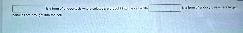 is a form of endocytosis where solutes are brought into the cell while is a form of endocytosis where larger particles are brought into the cell.