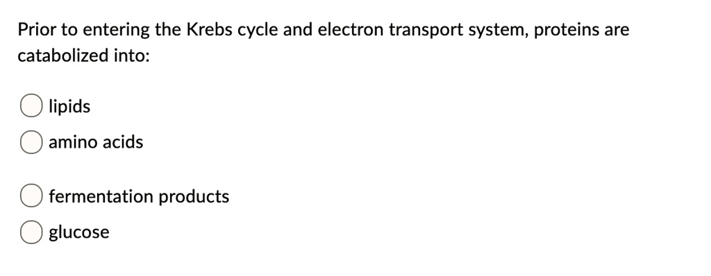 Prior to entering the Krebs cycle and electron transport system, proteins are
catabolized into:
lipids
amino acids
fermentation products
glucose