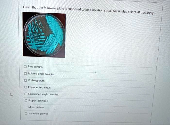 Given that the following plate is supposed to be a isolation streak for singles, select all that apply.
Pure culture.
Isolated single colonies.
Visible growth.
Improper technique.
No isolated single colonies.
Proper Technique.
Mixed culture.
No visible growth.