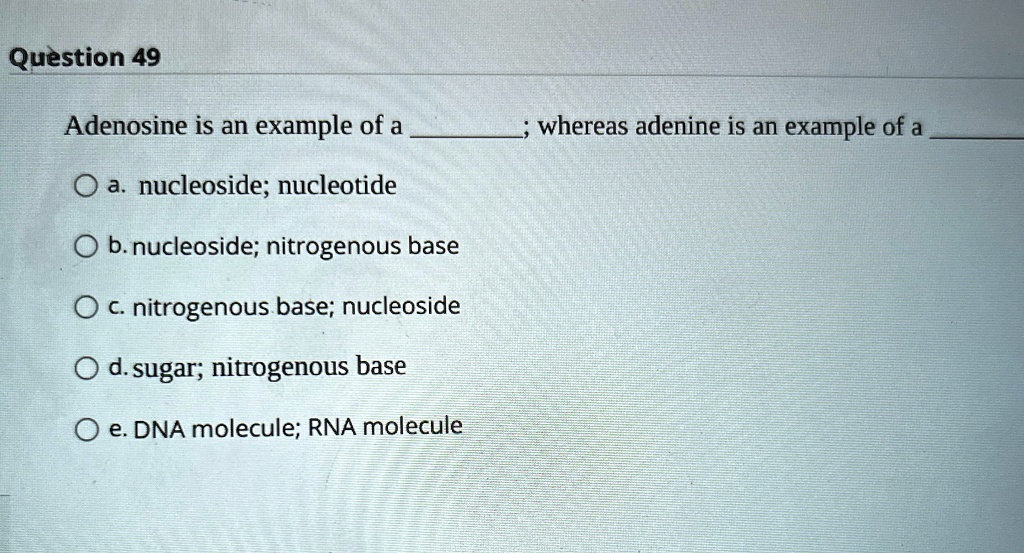 Question 49
Adenosine is an example of a ; whereas adenine is an example of a 
a. nucleoside; nucleotide
b. nucleoside; nitrogenous base
c. nitrogenous base; nucleoside
d. sugar; nitrogenous base
e. DNA molecule; RNA molecule