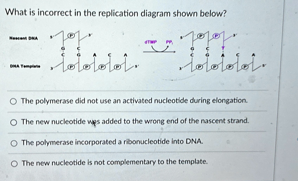 Incorrect Dna Replication what is incorrect in the replication diagram shown below natoont dna ...