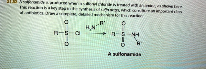 SOLVED: 21.52 A sulfonamide is produced when sulfonyl chloride is This ...