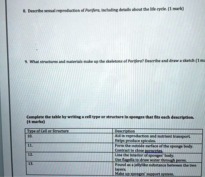 8. Describe sexual reproduction of Porifera, including details about the life cycle. (1 mark)

9. What structures and materials make up the skeletons of Porifera? Describe and draw a sketch (1 mark)

Complete the table by writing a cell type or structure in sponges that fits each description. (4 marks)

Type of Cell or Structure
Description
10.
Aid in reproduction and nutrient transport. Helps produce spicules.
11.
Form the outside surface of the sponge body. Contract to close porocytes.
12.
Line the interior of sponges' body. Use flagella to draw water through pores.
13.
Found as a jellylike substance between the two layers. Make up sponges' support system.