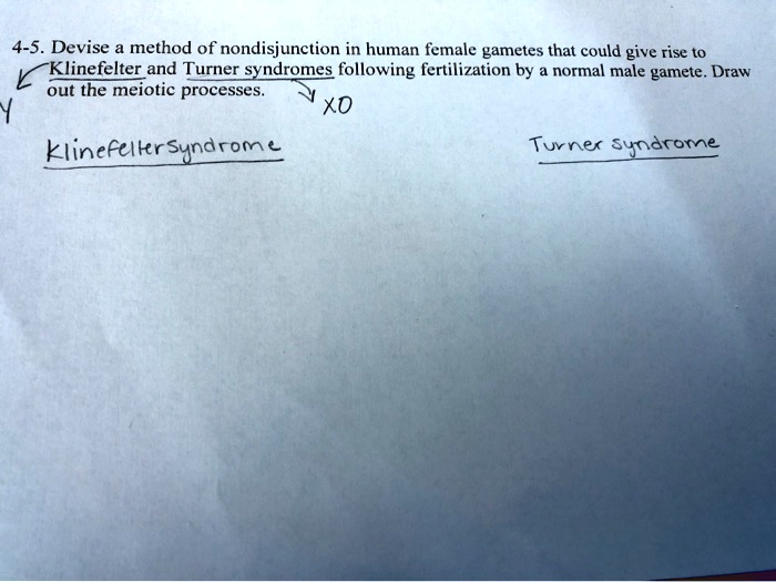 SOLVED 45 Devise a method of nondisjunction in human female gametes