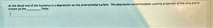 At the distal end of the humerus is a depression on the anteromedial surface. This depression accommodates a pointy projection of the ulna and is known as the  fossa.