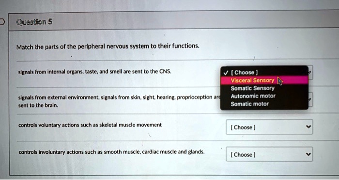 solved-match-the-parts-of-the-peripheral-nervous-system-to-their