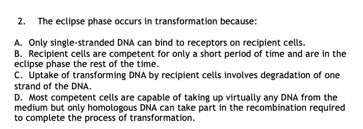 2. The eclipse phase occurs in transformation because:

A. Only single-stranded DNA can bind to receptors on recipient cells.
B. Recipient cells are competent for only a short period of time and are in the eclipse phase the rest of the time.
C. Uptake of transforming DNA by recipient cells involves degradation of one strand of the DNA.
D. Most competent cells are capable of taking up virtually any DNA from the medium but only homologous DNA can take part in the recombination required to complete the process of transformation.