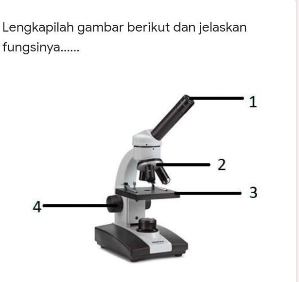 SOLVED: Lengkapilah Gambar Berikut Dan Jelaskan Fungsinya ...