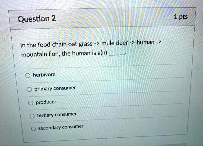 SOLVED:Question 2 1 pts In the food chain oat grass mule deer human