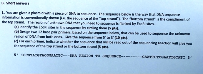 short answers you are given a plasmid with piece of dna to sequence the ...