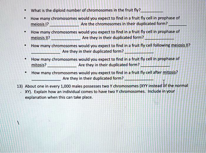 SOLVED What is the diploid number of chromosomes in the fruit fly? How