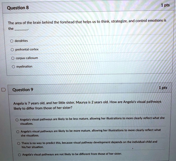 SOLVED: Question 8 The area of the brain behind the forehead that helps ...