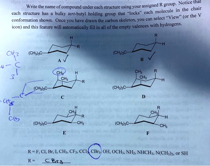Bulky Compound Example SOLVED:group. Notice that Write the name of compound under each ...