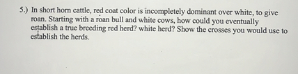 5.) In short horn cattle, red coat color is incompletely dominant over white, to give roan. Starting with a roan bull and white cows, how could you eventually establish a true breeding red herd? white herd? Show the crosses you would use to establish the herds.