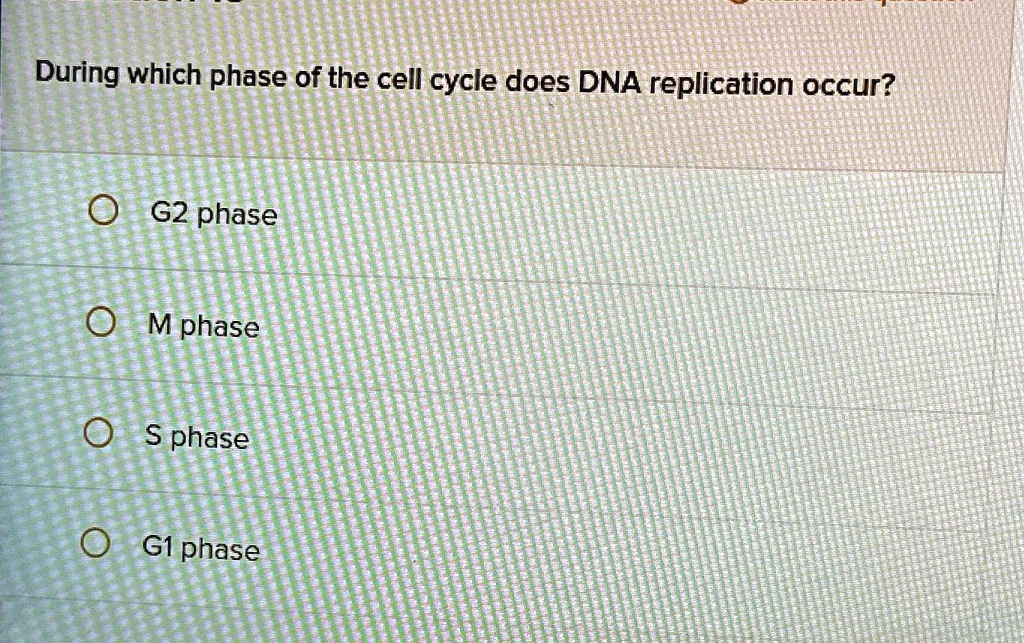 Mphase During which phase of the cell cycle does DNA replication occur? G2 ...