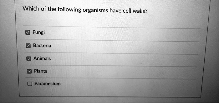 Which of the following organisms have cell walls?
Fungi
Bacteria
Animals
Plants
Paramecium