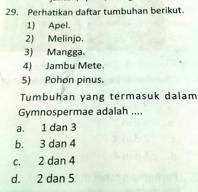 SOLVED: tumbuhan yang termasuk dalam gymnospermae adalah 29 Perhatikan ...