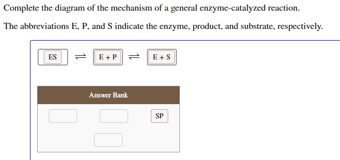 diagram of enzyme catalyzed reaction