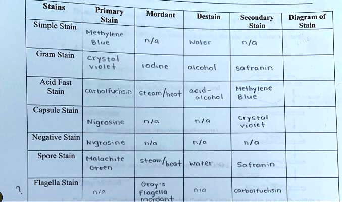 SOLVED: Text: Microbiology Stains Primary Stain Simple Stain Methylene