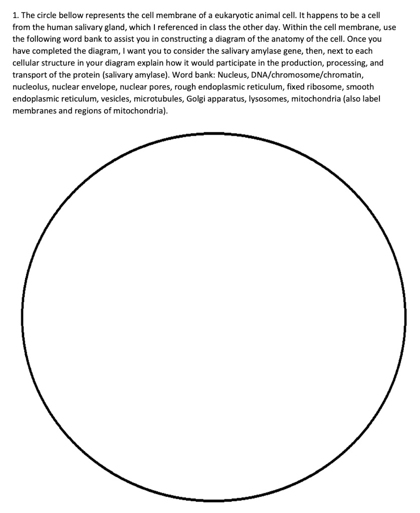 SOLVED: 1. The circle below represents the cell membrane of a ...