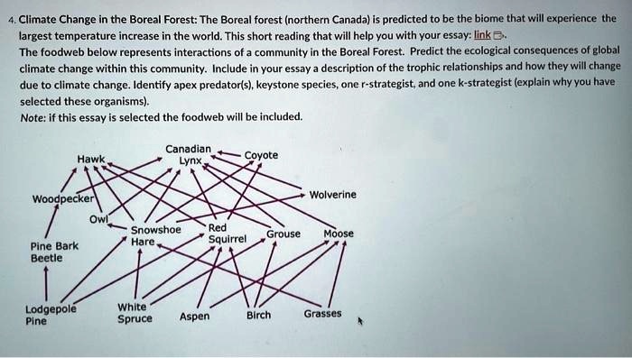 SOLVED: 4. Climate Change in the Boreal Forest: The Boreal forest ...