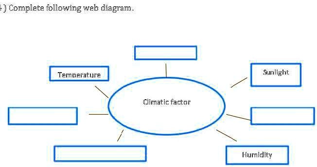 plz answer fast its my exam complete following web diagram temrerature sinlizht clirraticfatar hurnidity 54384