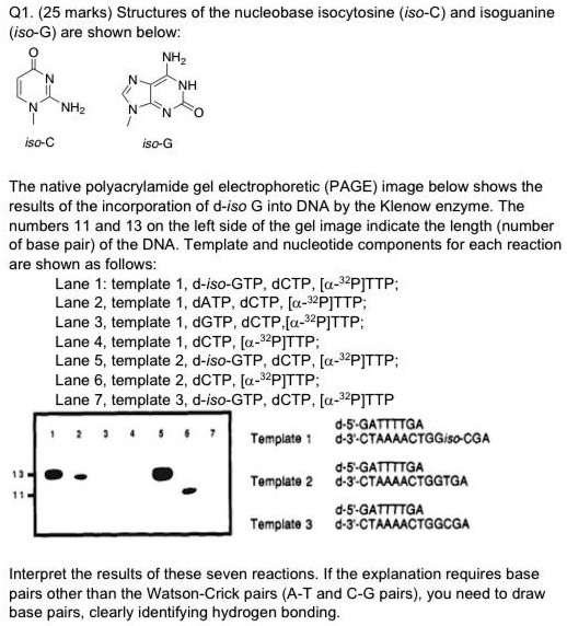 SOLVED: Q1. (25 marks Structures of the nucleobase isocytosine (iso-C ...