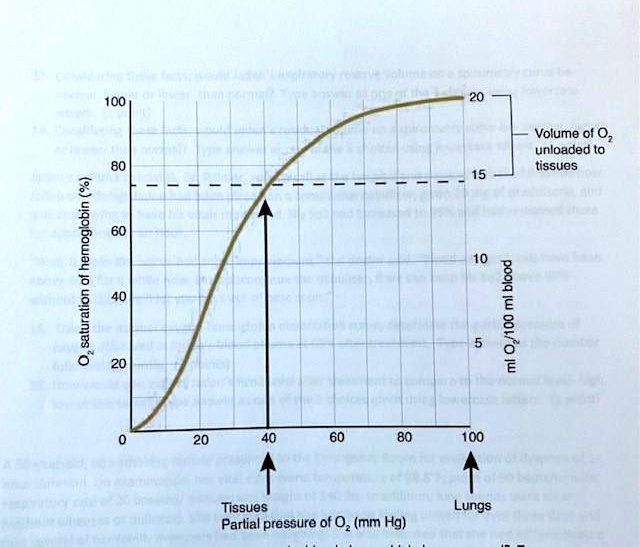 because asthma is an obstructive respiratory disease caused by a decreased diameter in the respiratory passageways jaden was having problems both with breathing in and breathing out 4 consid 67203