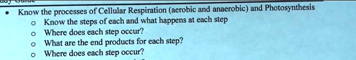 Video Solution: Know The Processes Of Cellular Respiration (aerobic And 