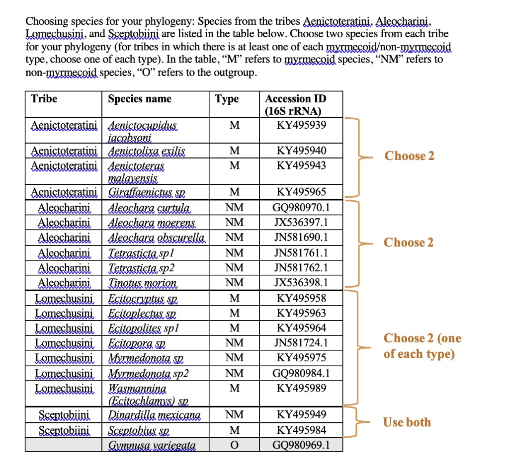 solved-choosing-species-for-your-phylogeny-species-from-the-tribes