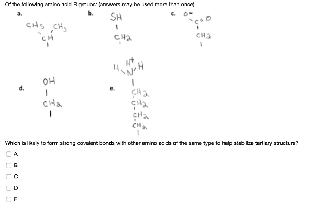 SOLVED Of the following amino acid R groups answers may be used